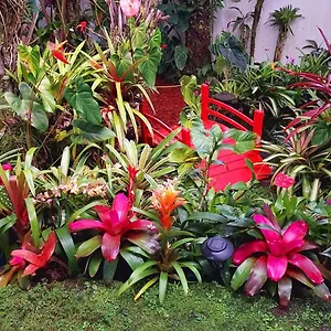 Paradise At Anthurium Hale États-Unis